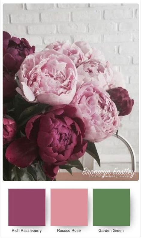 Peonies 3 | Peony colors, Peonies, Floral color