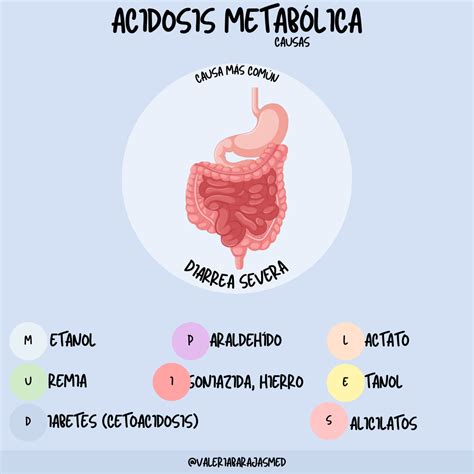 Acidosis metabólica causas Acidosis metabólica Metabolica Anion gap