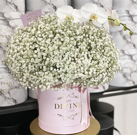 Falling For Gypsophila In White - My Divine Decors Flower Boutique ...