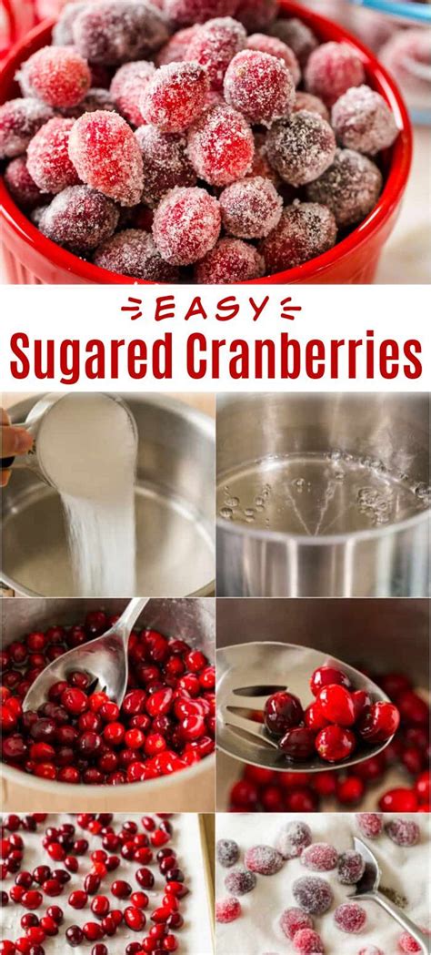 Sugared Cranberries Easy Recipe Sugared Cranberries Candy Recipes