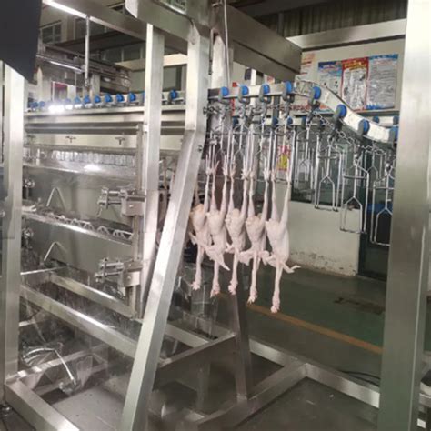 Automatic Chicken Slaughterhouse 500bph Halal Chicken Slaughtering