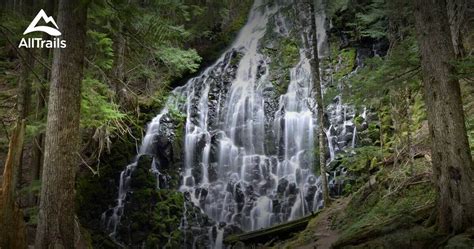 10 Best trails and hikes in Rhododendron | AllTrails