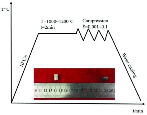 schematic illustration   compressive deformation processes