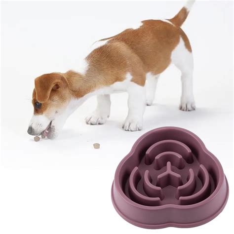 Small Slow Feeder Cat Dog Bowls, Puzzle Dog Bowl with Anti-, Pet Food