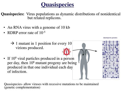 Ppt Virus Evolution Powerpoint Presentation Free Download Id4768716