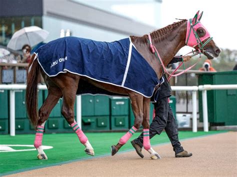 【シリウスs枠順確定】オメガギネスは2枠2番、ハピは8枠15番（netkeiba） Yahooニュース