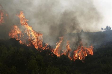 Autoridades De La CDMX Han Combatido 616 Incendios Forestales