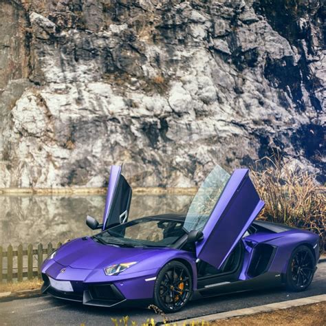 Gambar Mobil Lamborghini Ungu Cari Gambar Mobil