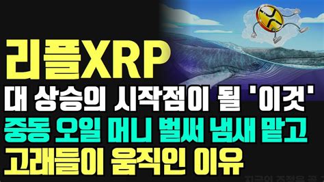 리플xrp 대 상승의 시작점이 될 이것 오일 머니 냄새 맡고 고래가 움직인 이유 Youtube