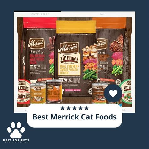 The 11 Best Merrick Cat Foods BestForPets Org