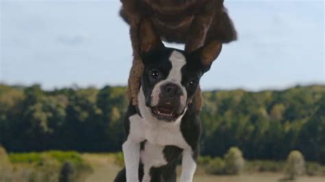 Will Ferrell Is Now A Dog Plotting Gruesome Revenge | GIANT FREAKIN ROBOT