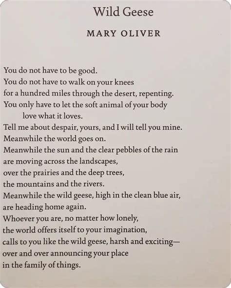 Poetryisnotaluxury On Instagram Mary Oliver Sending Love Out To A