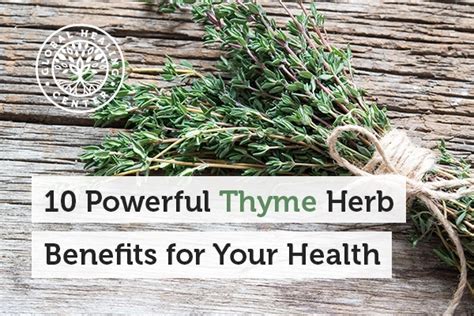 10 Powerful Thyme Herb Benefits for Your Health