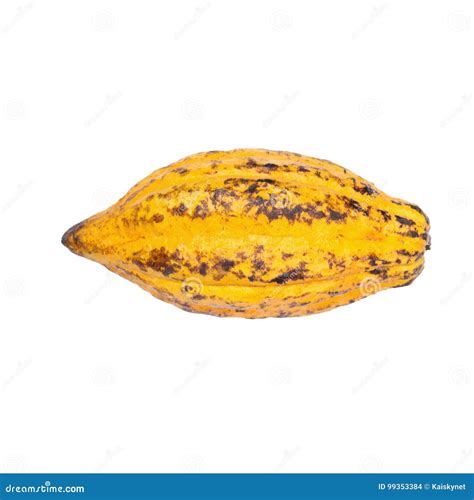 Cacao Fruit Raw Cacao Beans Cocoa Pod Isolated On White Background