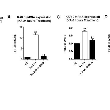 Fold Change Differences In MRNA Expression And Enzymatic Activates Of