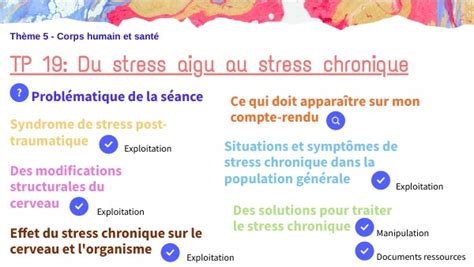 Du Stress Aigu Au Stress Chronique