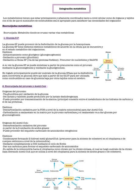 Integraci N Metab Lica Regis Santi Udocz