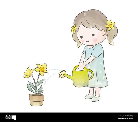 Plantas dibujo acuarela maceta Imágenes vectoriales de stock Alamy