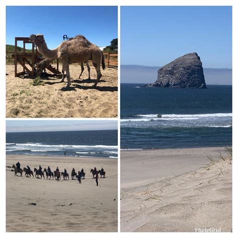 Pacific City, Oregon : r/oregon