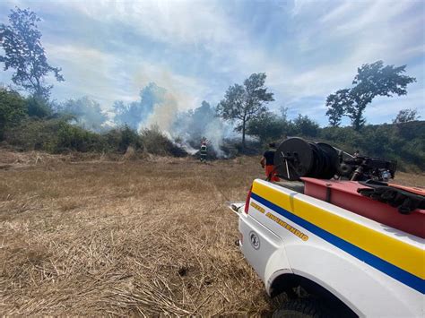 Cerveteri Incendio Di Sterpaglie In Via Castel Campanile