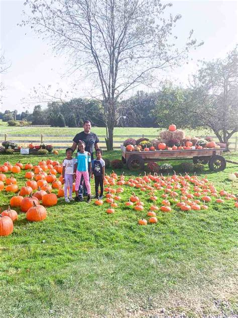 Going to the Pumpkin Patch -Picking Pumpkins from a Real Pumpkin Patch ...