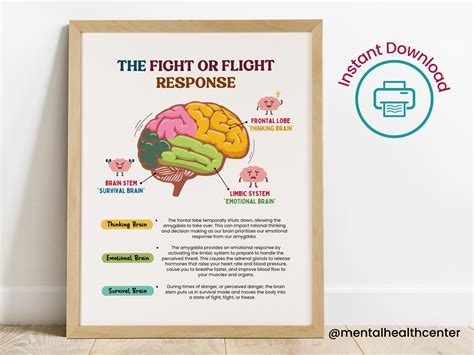 The Fight Or Flight Response Brain Anatomy Psychology Gift Etsy UK