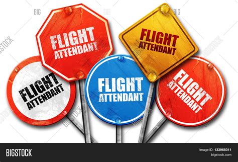 Flight Attendant, 3D Image & Photo (Free Trial) | Bigstock