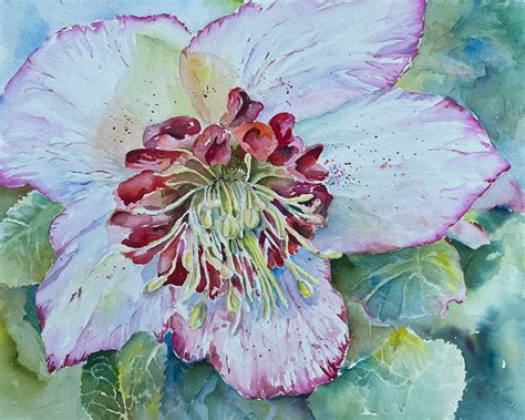 Winter Jewel | Color | Ink Studio