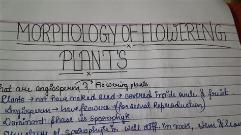 Class Th Morphology Of Flowering Plants Full Handwritten Detailed