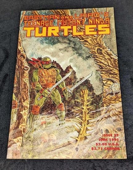 Teenage Mutant Ninja Turtles Mirage Comics 37 In United States