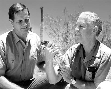 Marlin Perkins And Jim Fowler Hosts Of Wild Kingdom 8x10 Publicity