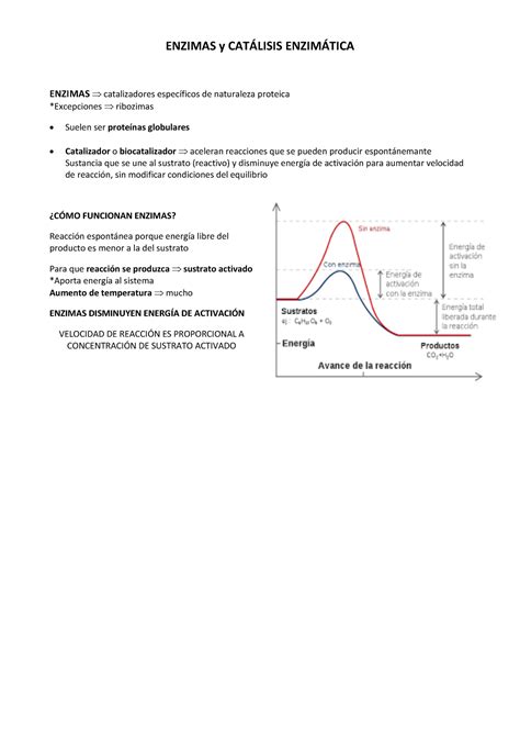 Tema Bioqu Mica Rec Enzimas Y Catalisis Enzim Tica Incluyendo