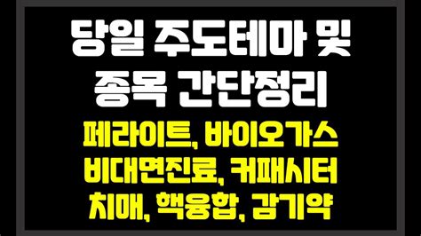 당일 장중 주도테마 및 종목 간단정리 페라이트바이오가스비대면진료커패시터치매핵융합 유니온머티리얼삼화전기삼화