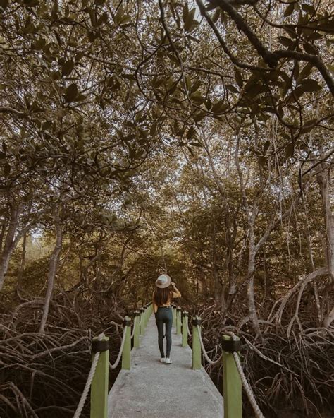 Spot Untuk Foto Di Taman Nasional Baluran Banyuwangi