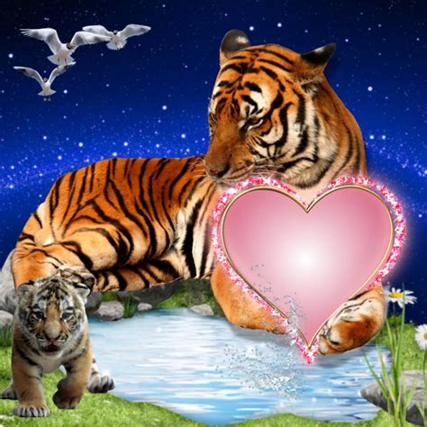 Two Tigers And A Heart Shaped Object In Front Of A Body Of Water With