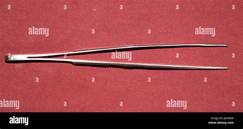 Blunt Forceps Hi Res Stock Photography And Images Alamy