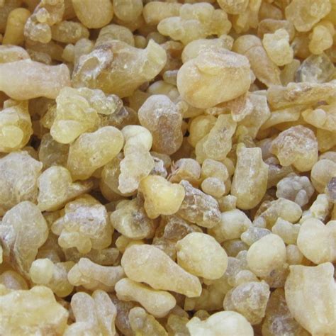 Frankincense 200g اللبان الذكر Herbsrak