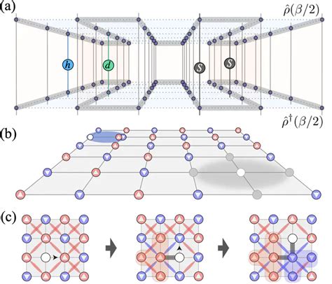 Quantum Many Body Simulations Of The Two Dimensional Fermi Hubbard