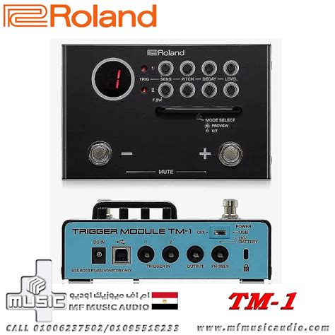 جهاز البيز درامز و السنير من رولاند Roland Tm 1 Drum Trigger Module