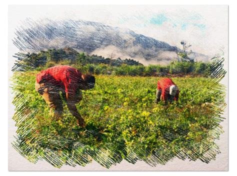 Biodynamische Landwirtschaft Was Ist Das Funktioniert Es Wirklich