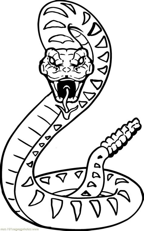 Rattlesnake Coloring Page Various Pose Educative Printable