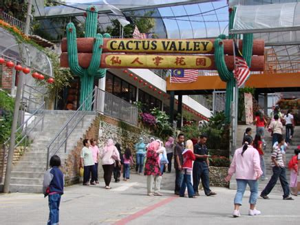 Cactus Valley Cameron Highlands - Cameron Highlands Online 2025