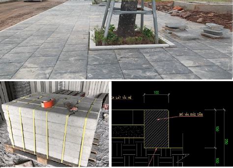 bo  bon cay bo  goc cay kich thuoc xxcm