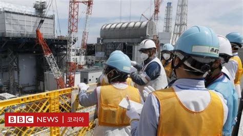 후쿠시마 원전 일본 근로자 사망 원인 방사선 피폭 인정 Bbc News 코리아