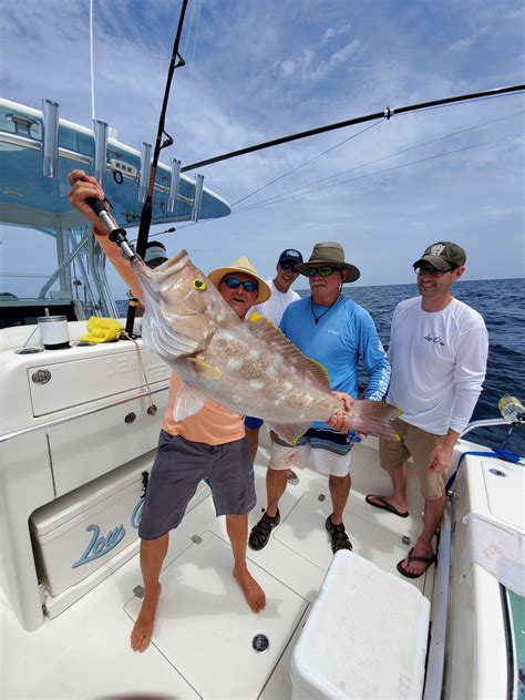 Yellowedge Grouper