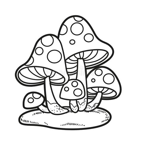 Mosca Venenosa Agaric Sobre Dibujo Lineal Musgo Para Colorear Aislado