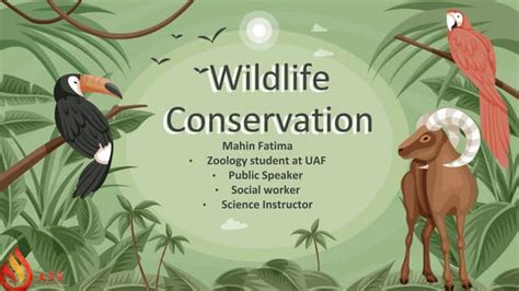 "Wildlife Conservation" | PPT