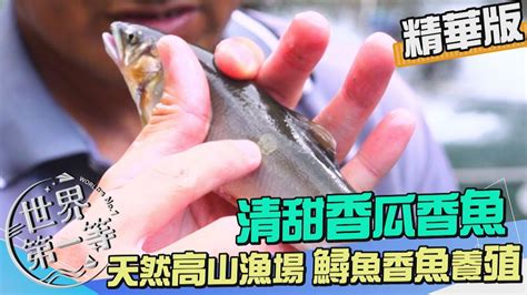 【南投】香瓜清甜香魚and油脂豐厚鱘龍魚 雙龍部落高山泉水漁場｜《世界第一等》971集精華版 Youtube