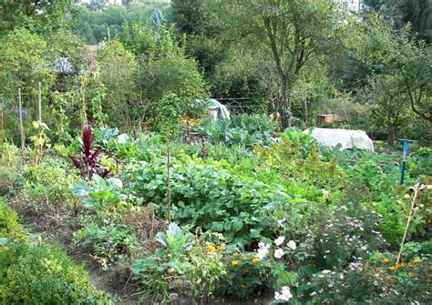 R Aliser Un Potager En Carr Fa On Permaculture Ma Passion Du Verger