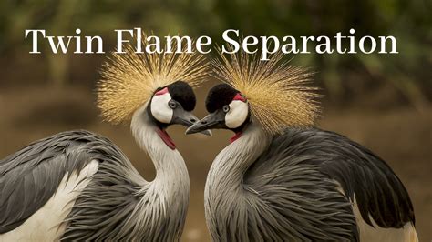 Twin Flame Separation Stage, Reasons & What You Can Learn From It